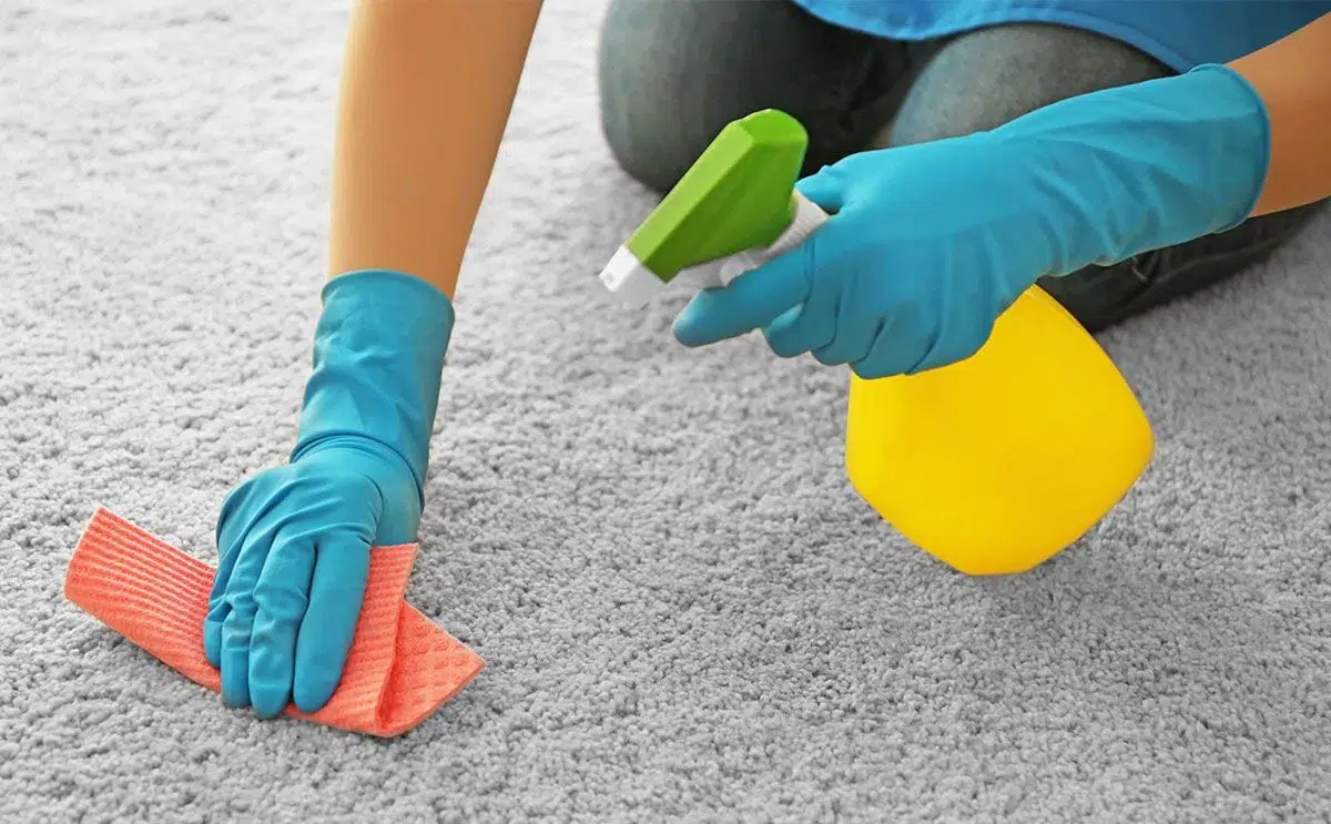 خدمات شركة تنظيف موكيت في حائل