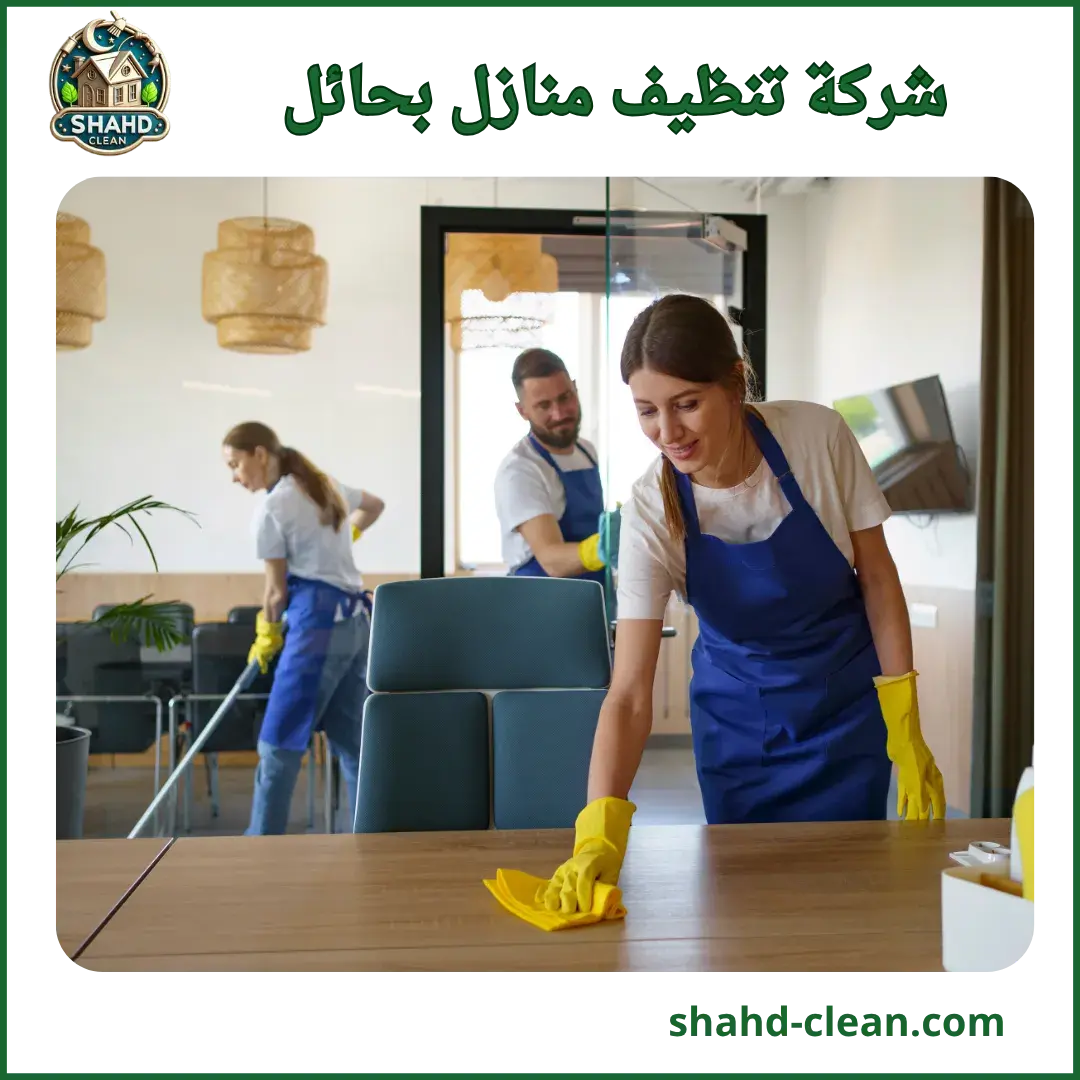 شركة تنظيف منازل بحائل