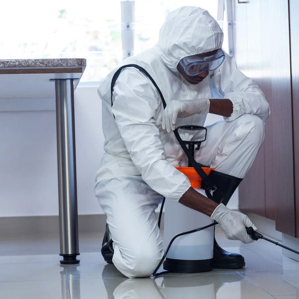 شركة رش المبيدات بحائل