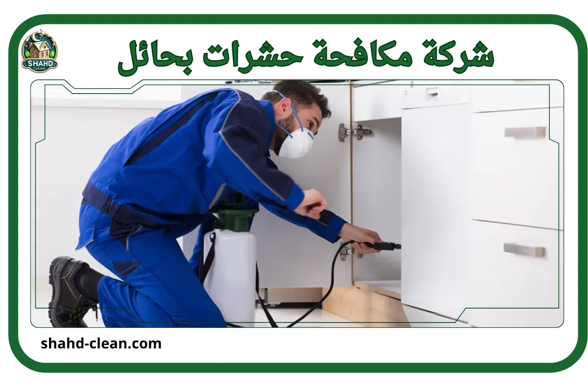 شركة مكافحة حشرات بحائل