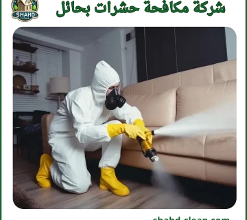 شركة مكافحة حشرات بحائل