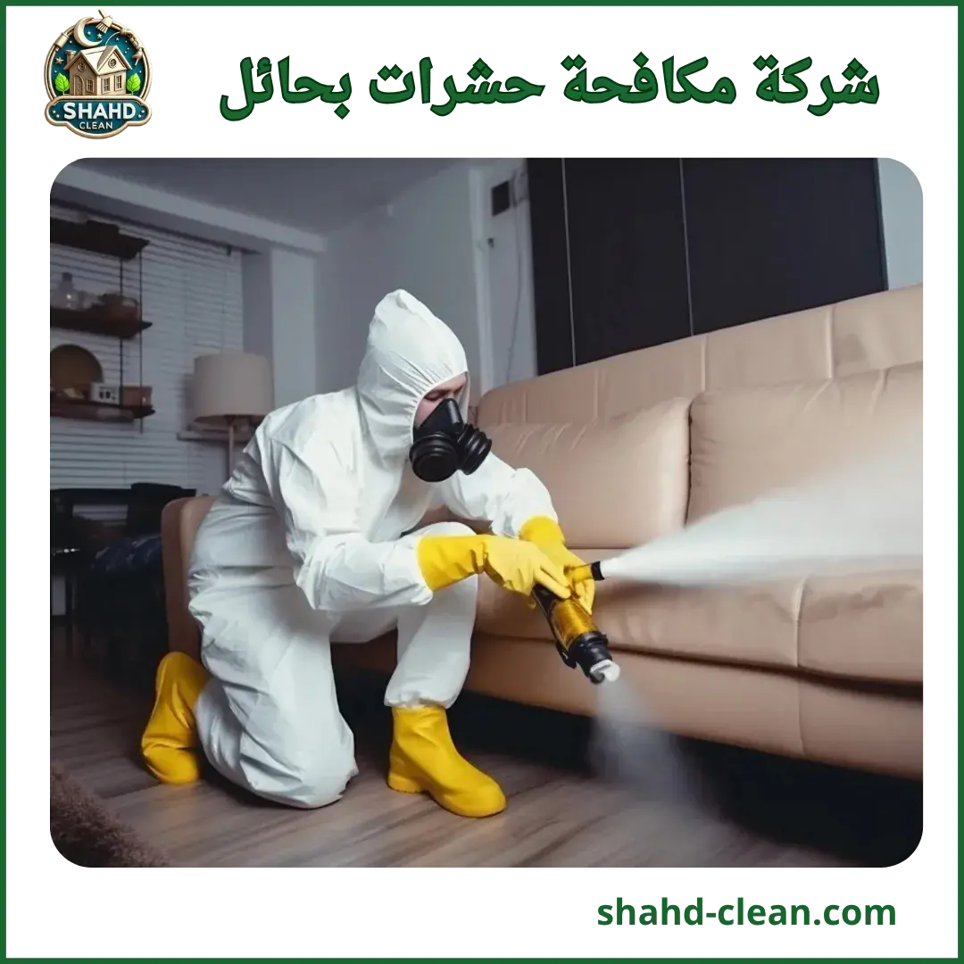 شركة مكافحة حشرات بحائل