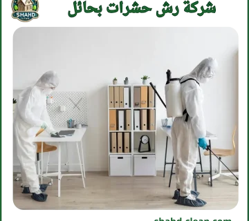 شركة رش حشرات بحائل