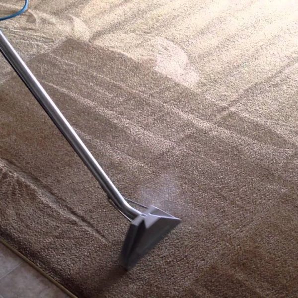 شركة إزالة البقع من السجاد في حائل 