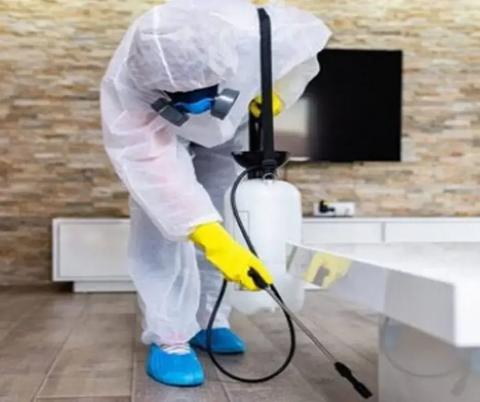 شركة مكافحة حشرات بحائل